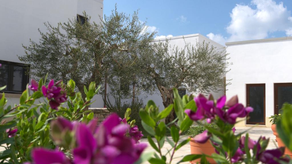 Tenute D'Onghia Gioia Del Colle Exteriér fotografie