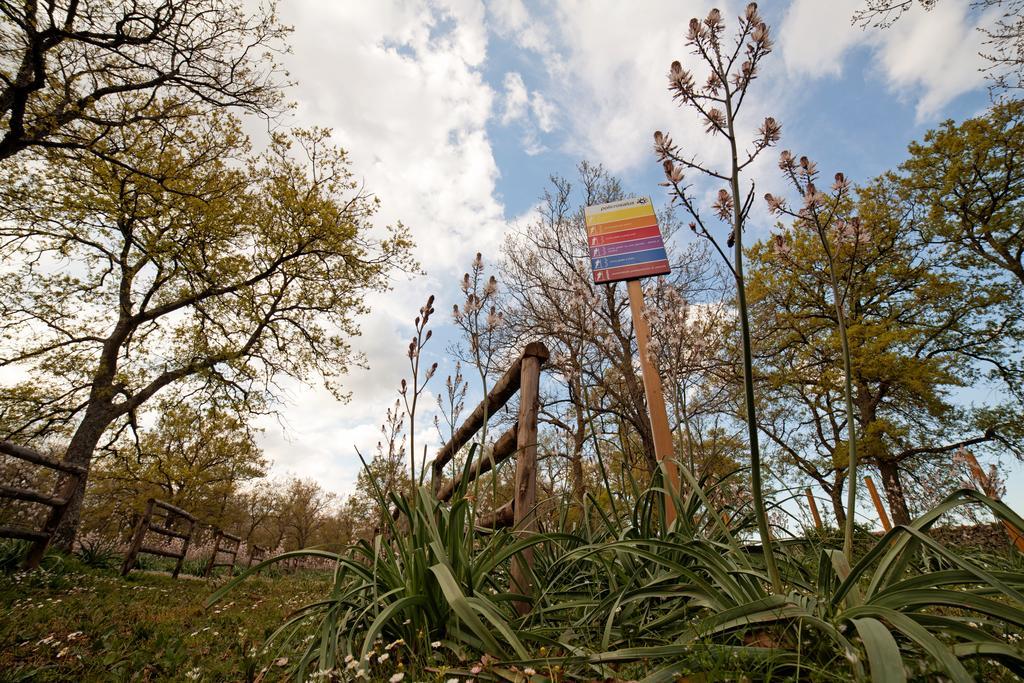 Tenute D'Onghia Gioia Del Colle Exteriér fotografie